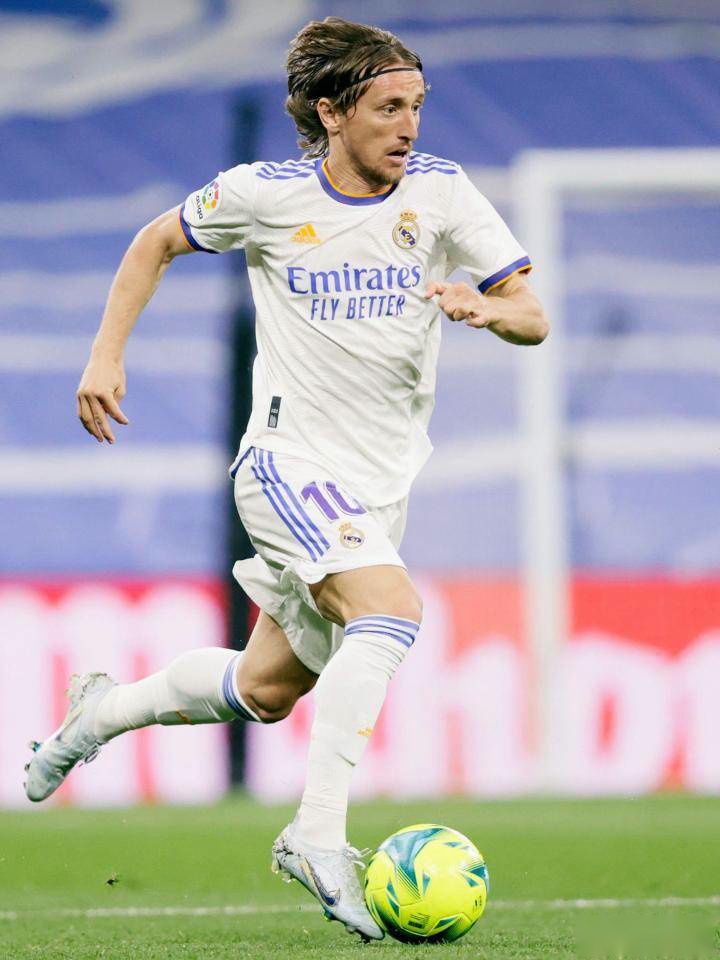 加拿大男篮实力大增