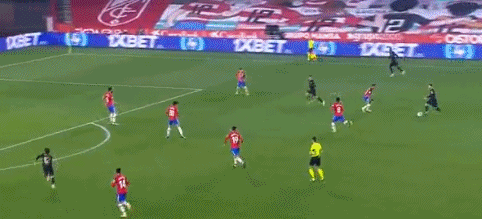 安切洛蒂：防守会是世界杯成功的关键；巴西是要去争夺冠军的